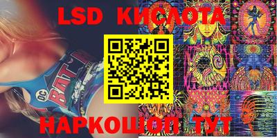 тгк Новозыбков