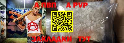 тгк Новозыбков