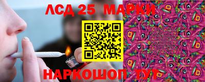тгк Новозыбков