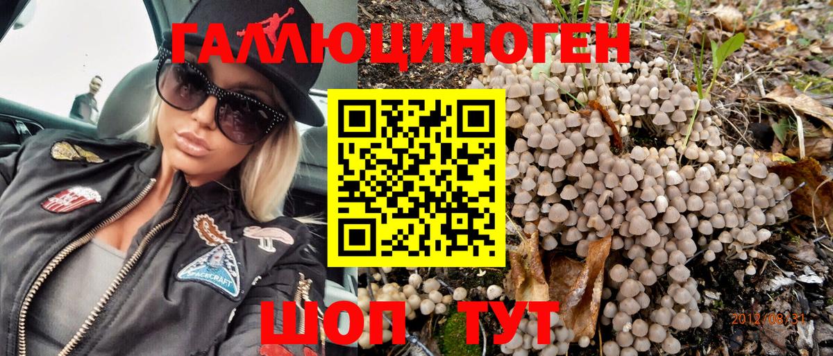 Тула  Псилоцибиновые грибы GOLDEN TEACHER  Псилоцибиновые грибы MAGIC MUSHROOMS  Вход с VPN 