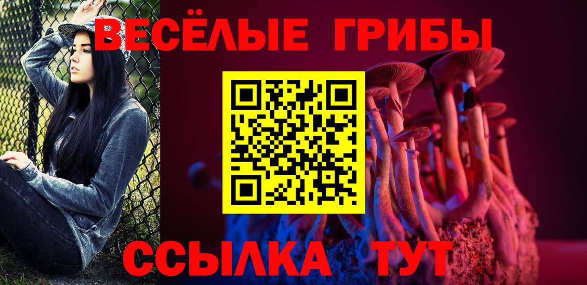 Галлюциногенные грибы Psilocybine cubensis Тула